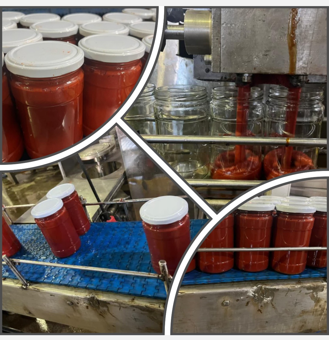 استارت و راه اندازی تولید و بسته بندی رب گوجه فرنگی در شرکت صنایع غذایی شابهار